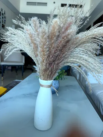 Decorative white ceramic vase with pampas grass (set)