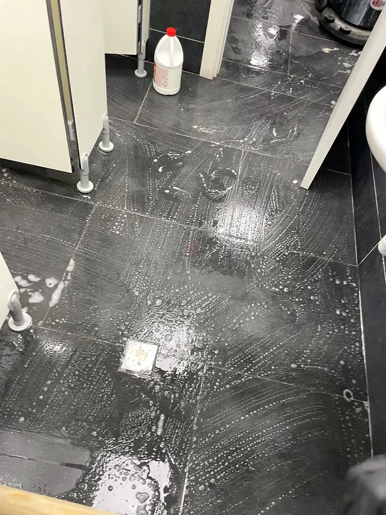 DPV_View_Image_2