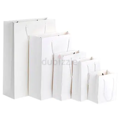 Set of 5 White Paper Gift Bags with Rope Handles - Various Sizes