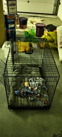 Medium size 90*60 cm metal dog crate with pad and toys - Brand New Opened 1 week use