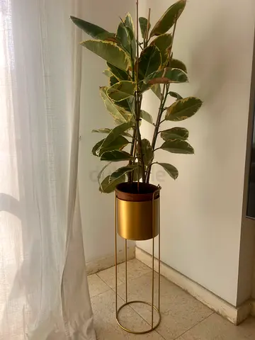 Gold metal plant stand with planter - 90cm tall