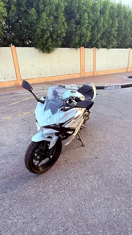 2025 Kawasaki Ninja 500 (Japan Spec) 🔥
