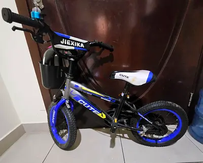 Boys bicycle