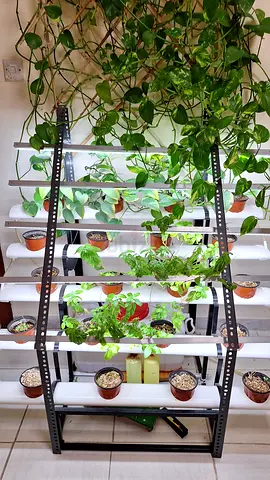 Indoor Hydroponic Vertical Garden Rack with PVC Channels (Ready to Plant)