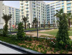 Direct from the Owner.No commission-furnished studio in Glitz3