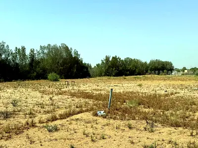 Farm for annual rent in Al Zubair – Sharjah