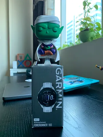 Garmin Forerunner 165