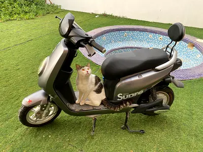 Electric moped bike For sale