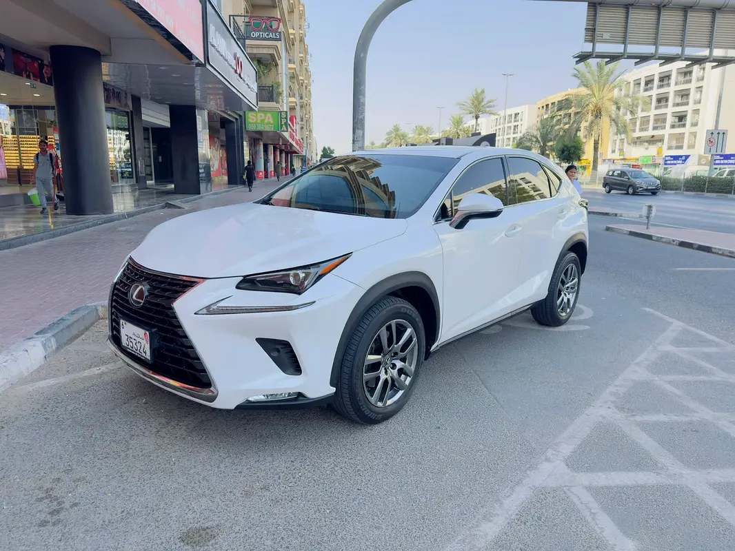 Lexus NX-Series 2018 — photo 1 of 12