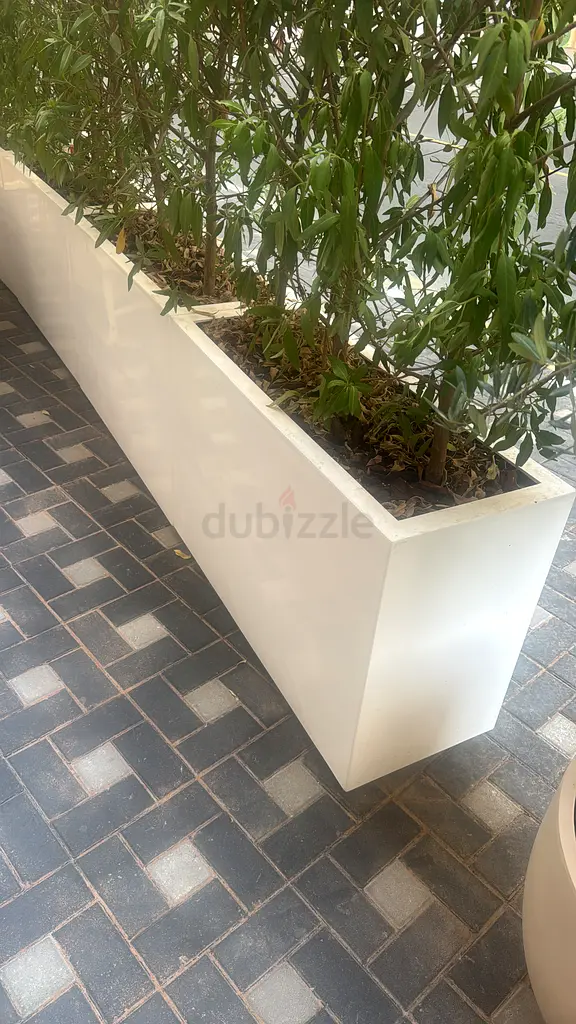 DPV_View_Image_4