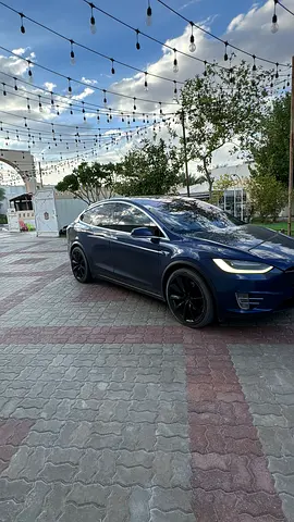 2017 Tesla MODEL X 照片 6