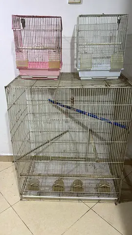 Bird Cages and nest boxes in low price