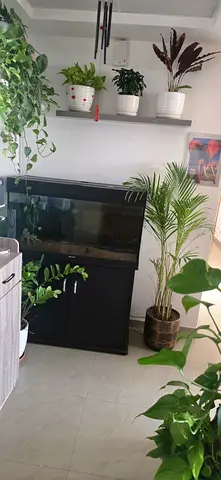 Aquarium in good condition for sale¹