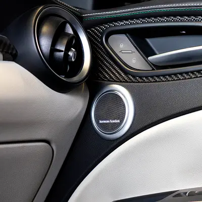 Alfa Romeo Stelvio Quadrifoglio, миниатюра 14