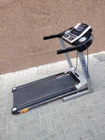 Skyland treadmill