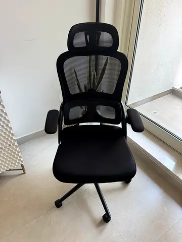 Ergonomic Mesh Office Chair with Headrest
