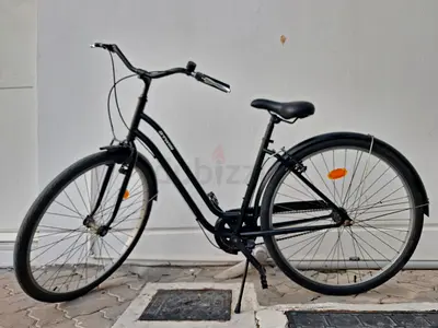 Black City Cruiser Bicycle - Single Speed, Step-Through Frame
