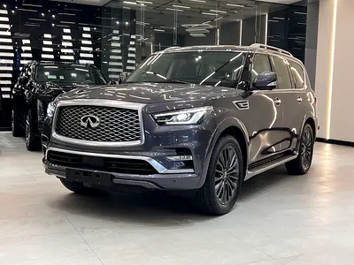 2024 Infiniti QX80 — фото 2