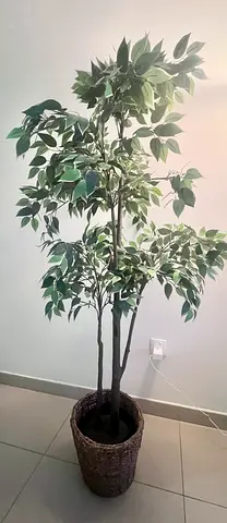 Artificial Floor Plant in Woven Basket Pot