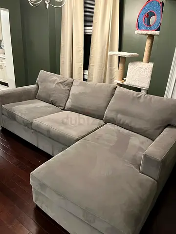 Cratebarrel Long life L shape sofa