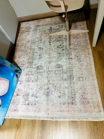 Pottery Barn Dyed Rug