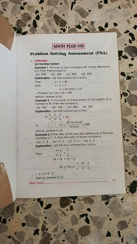 Math Practice Booklet - Problem Solving (PSA) pages and maths lab manual grade 8