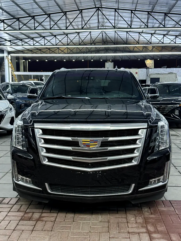 Cadillac Escalade 2020 — photo 1 of 12
