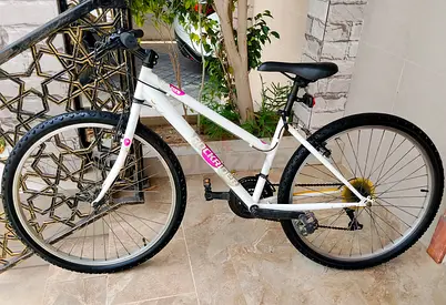 ROCKRIDER Brand 26 adult bike