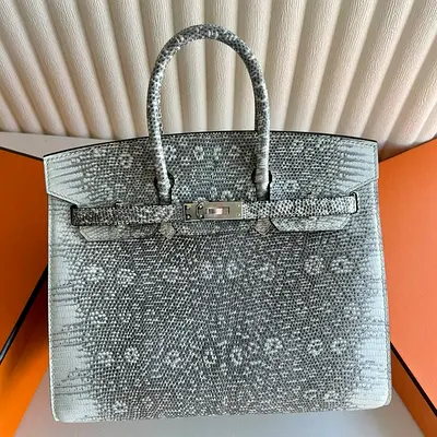 Hermes Birkin 25 Sellier in Ombre Lizard Leather