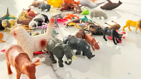 Animals toys