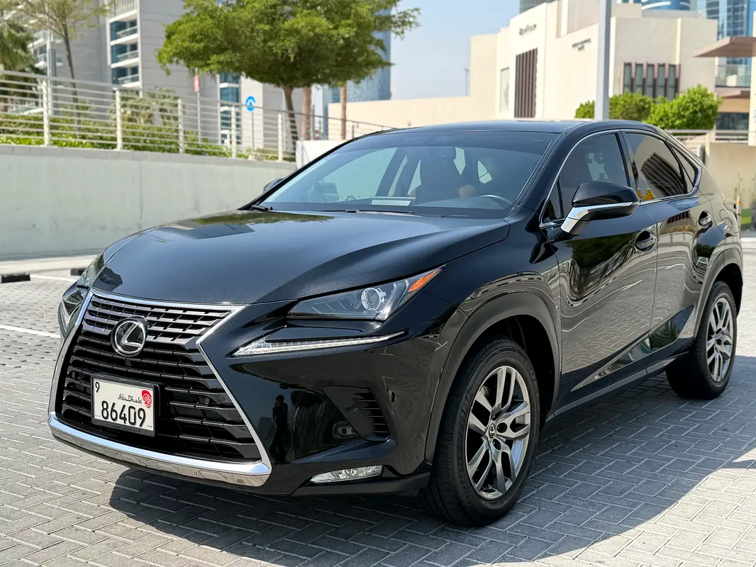 Lexus NX-Series 2020 — photo 1 of 20