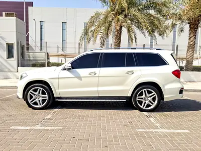 2013 Mercedes-BENZ GL 照片 5