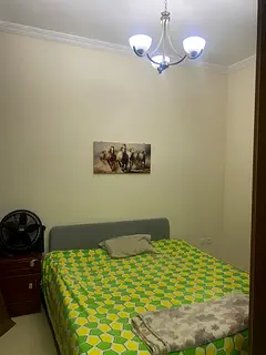 Master bed room for rent with balcony  bathroom