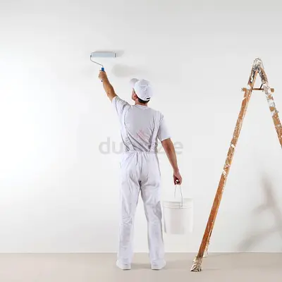 Premium Wall Painting  Decorative Finishing