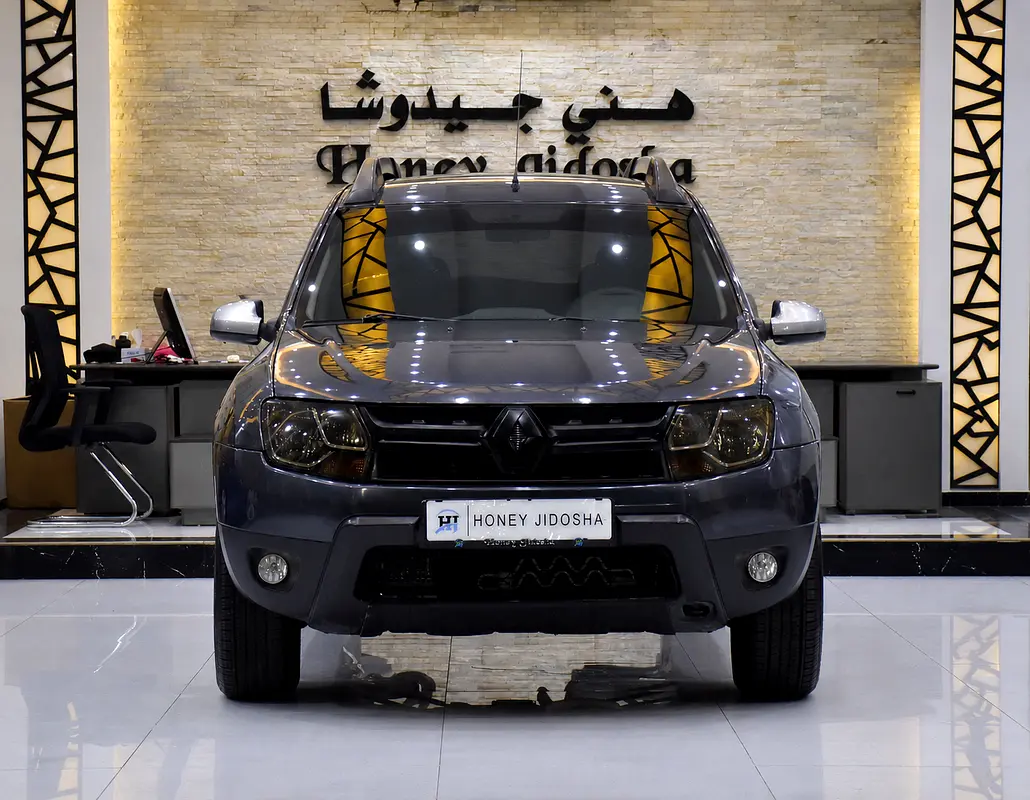 Renault Duster 2017 — photo 1 of 17