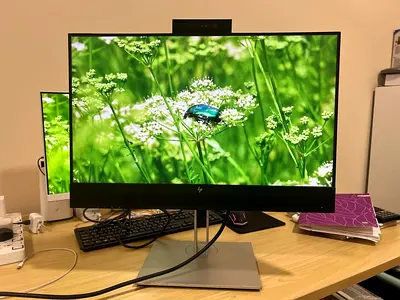 Hp 24 Built-in Loudspeaker  Webcam