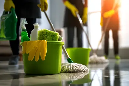 Home Cleaning Co. For Sale