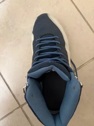 Air Jordan 12 Retro Indigo