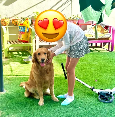 Loving Home Wanted for Our Beloved Jessy