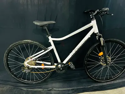 Hybrid bike
