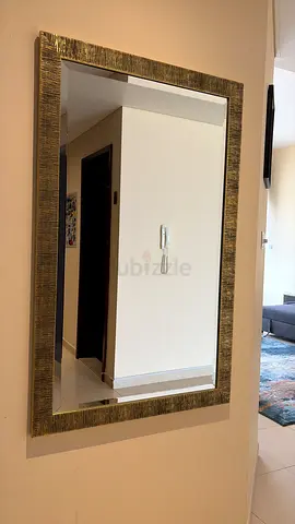Crate  Barrel wall mirror - champagne birch 120cmx75cm (model number 215136)