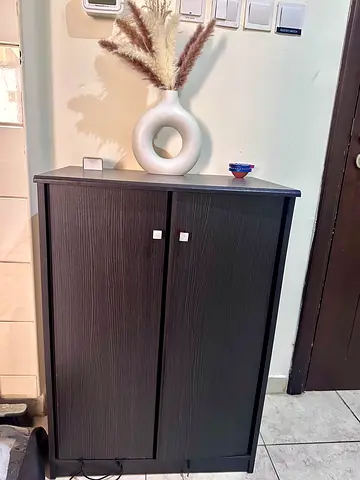 Compact dark wood shoe cabinet with two doors — good condition