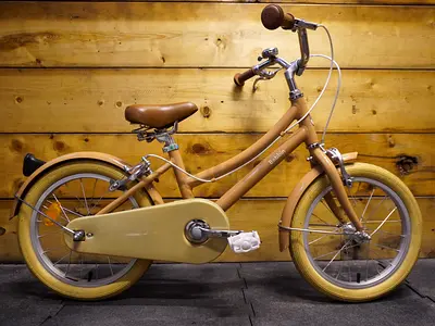 Bobbin Gingersnap Kids Bike