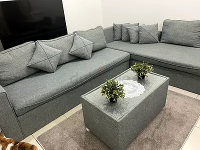 Gray Couch Set