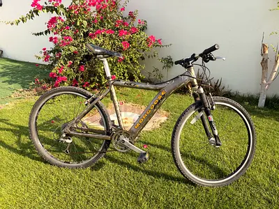 Mangoose Small Frame (Acera )