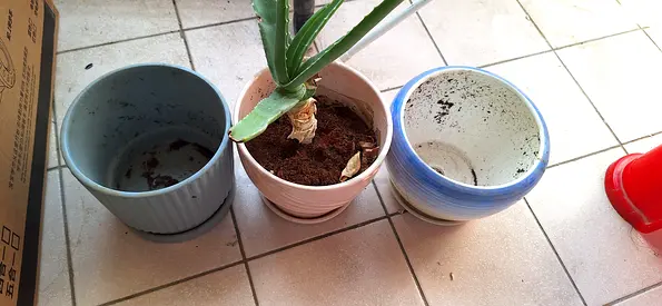 Set of 3 Ceramic Plant Pots 6-7 inch Good Condition