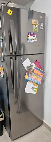 LG Smart Inverter double-door, top-freezer refrigerator