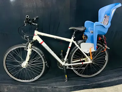 Hybrid bike