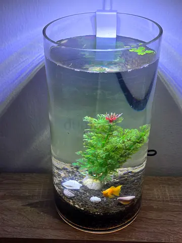 Small aquarium tank for sale