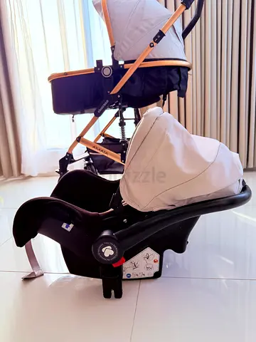 Infant Car Seat with Canopy - Good Condition